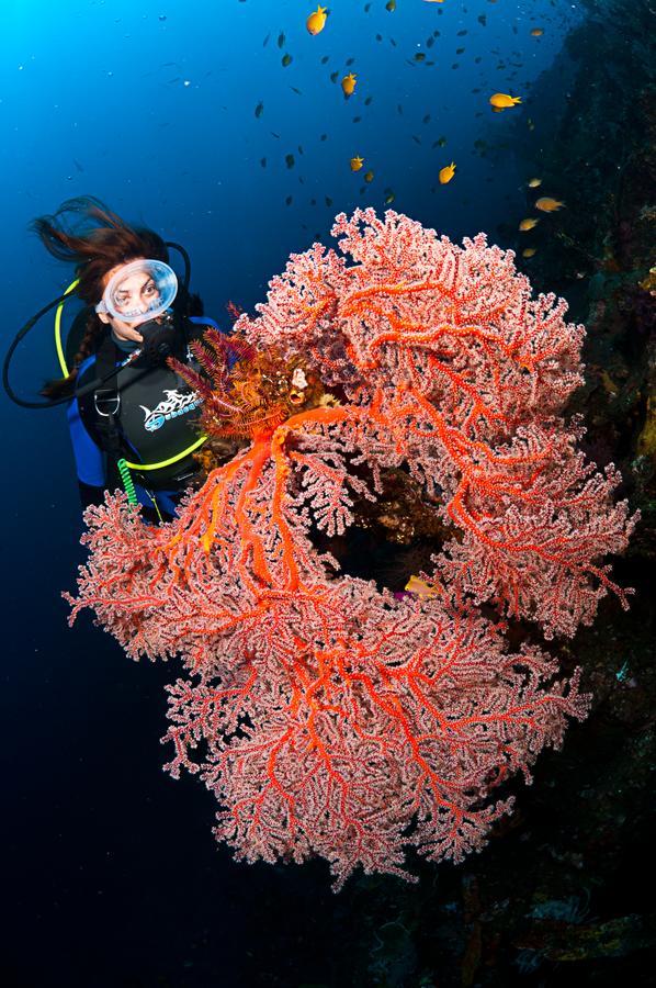Benthos Bali Dive Resort Candidasa Exteriör bild
